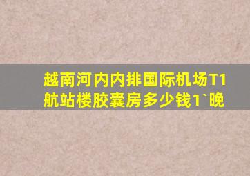 越南河内内排国际机场T1航站楼胶囊房多少钱1`晚